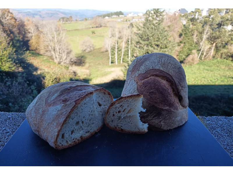 Pan de trigo galego - O Pan de Iria