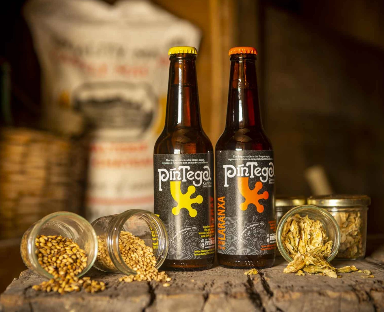 Botellas de cervexa artesá Pintega con gran e lúpulo